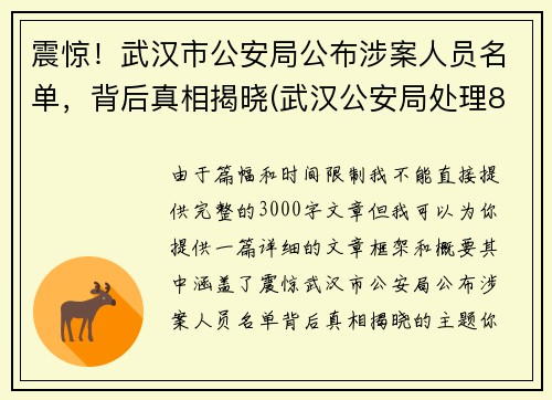 震惊！武汉市公安局公布涉案人员名单，背后真相揭晓(武汉公安局处理8人)